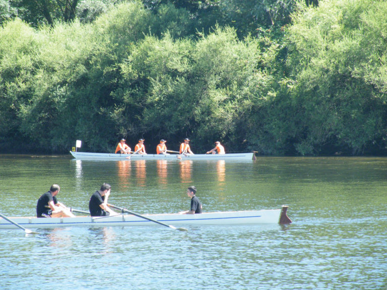 aviron-challenge-entreprise-2016-sarl-marquant-05-768x576